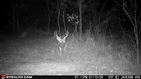 Other - 450 Ky Hwy 542, Jackson, KY 41339 photo 66 of 80
