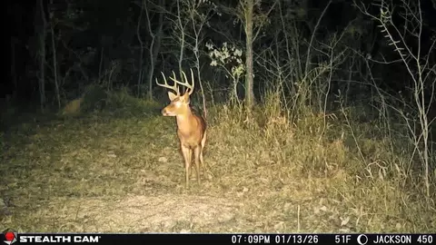 Other - 450 Ky Hwy 542, Jackson, KY 41339 photo 62 of 80