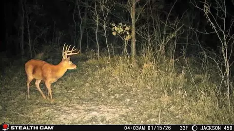 Other - 450 Ky Hwy 542, Jackson, KY 41339 photo 67 of 80