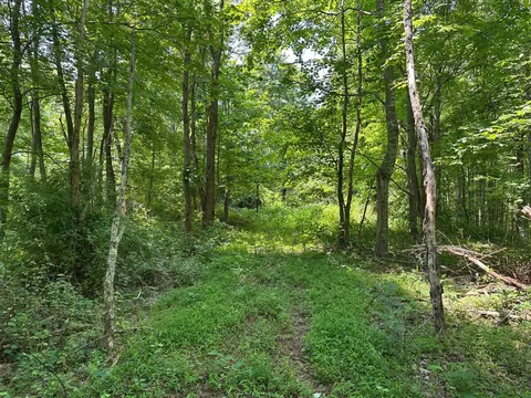 Exterior - 450 Ky Hwy 542, Jackson, KY 41339 photo 18 of 60