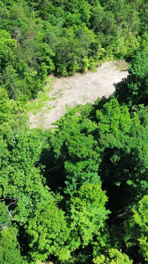 View/Area - 450 Ky Hwy 542, Jackson, KY 41339 photo 6 of 13