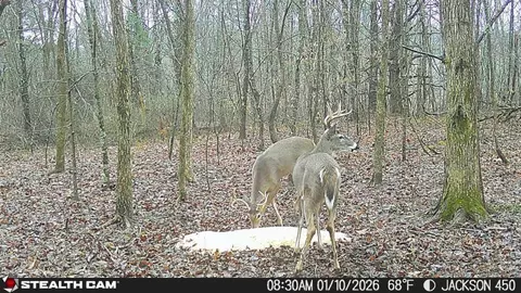 Other - 450 Ky Hwy 542, Jackson, KY 41339 photo 64 of 80