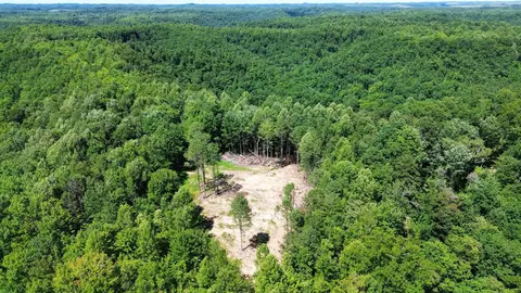 View/Area - 450 Ky Hwy 542, Jackson, KY 41339 photo 5 of 13