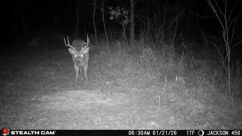 Other - 450 Ky Hwy 542, Jackson, KY 41339 photo 75 of 80