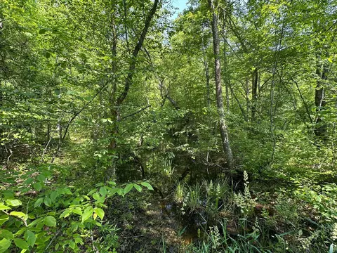 Other - 450 Ky Hwy 542, Jackson, KY 41339 photo 37 of 80