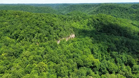 Other - 450 Ky Hwy 542, Jackson, KY 41339 photo 21 of 80