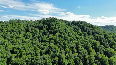 Other - 450 Ky Hwy 542, Jackson, KY 41339 photo 26 of 80