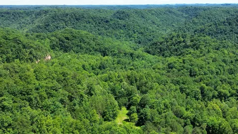 Other - 450 Ky Hwy 542, Jackson, KY 41339 photo 12 of 80