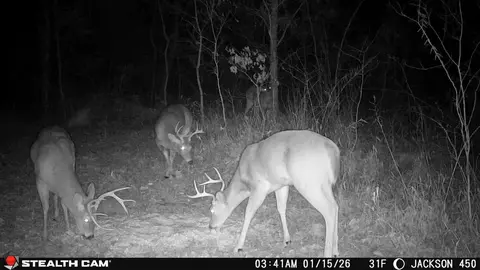 Other - 450 Ky Hwy 542, Jackson, KY 41339 photo 57 of 80