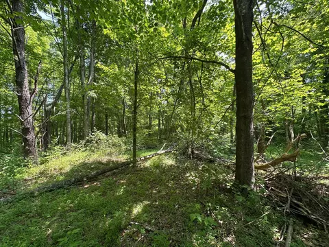 Exterior - 450 Ky Hwy 542, Jackson, KY 41339 photo 32 of 60
