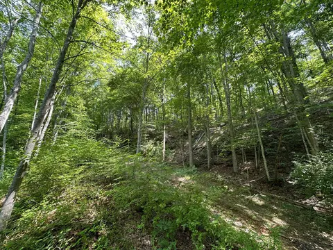 Other - 450 Ky Hwy 542, Jackson, KY 41339 photo 34 of 80