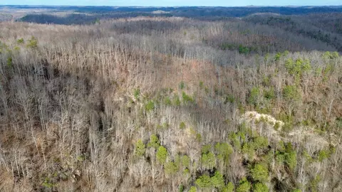 Other - 450 Ky Hwy 542, Jackson, KY 41339 photo 29 of 80