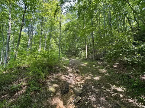Other - 450 Ky Hwy 542, Jackson, KY 41339 photo 32 of 80