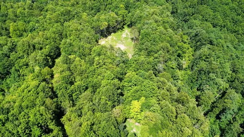 View/Area - 450 Ky Hwy 542, Jackson, KY 41339 photo 3 of 13