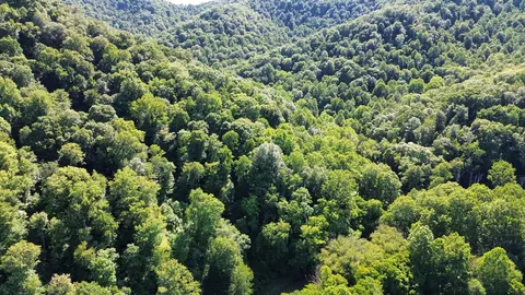 View/Area - 450 Ky Hwy 542, Jackson, KY 41339 photo 9 of 13