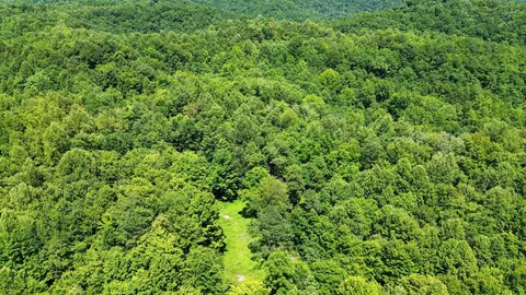 Other - 450 Ky Hwy 542, Jackson, KY 41339 photo 8 of 80