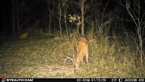 Other - 450 Ky Hwy 542, Jackson, KY 41339 photo 61 of 80