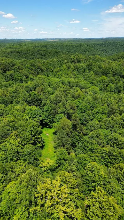 Other - 450 Ky Hwy 542, Jackson, KY 41339 photo 13 of 80