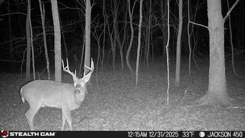Other - 450 Ky Hwy 542, Jackson, KY 41339 photo 46 of 80