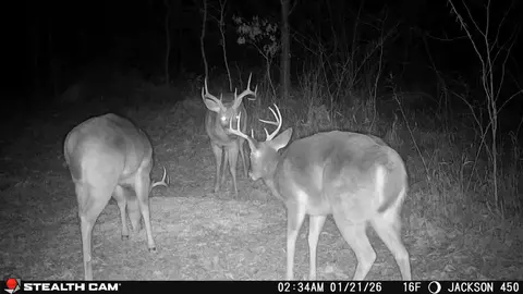 Other - 450 Ky Hwy 542, Jackson, KY 41339 photo 78 of 80