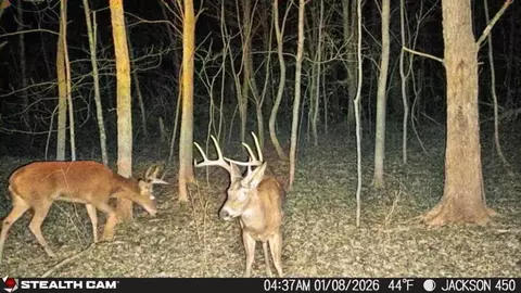 Other - 450 Ky Hwy 542, Jackson, KY 41339 photo 5 of 80