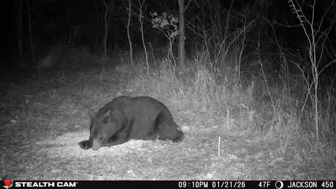 Other - 450 Ky Hwy 542, Jackson, KY 41339 photo 74 of 80