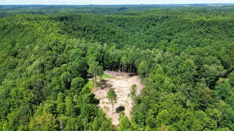 Other - 450 Ky Hwy 542, Jackson, KY 41339 photo 18 of 80