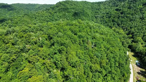 View/Area - 450 Ky Hwy 542, Jackson, KY 41339 photo 13 of 13