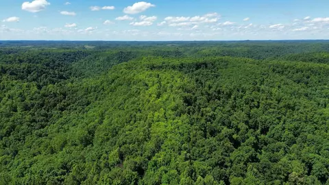 Other - 450 Ky Hwy 542, Jackson, KY 41339 photo 19 of 80