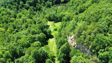 Other - 450 Ky Hwy 542, Jackson, KY 41339 photo 11 of 80