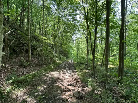 Other - 450 Ky Hwy 542, Jackson, KY 41339 photo 33 of 80