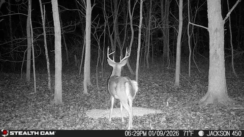 Other - 450 Ky Hwy 542, Jackson, KY 41339 photo 68 of 80