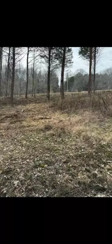 3 05 Peytonsburg-sulphur Rd, Burkesville, KY 42717