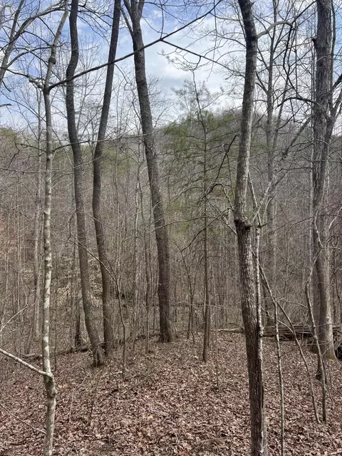 9999 Dreyfus Rd, Waco, KY 40385