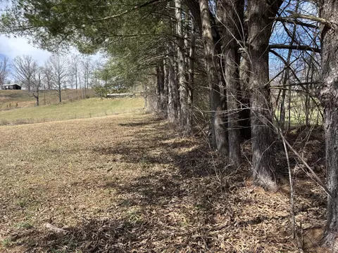 9999 Sutton St, Corbin, KY 40701 photo 5