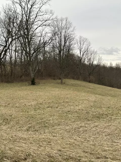 1 Mallard Point Dr, Georgetown, KY 40324