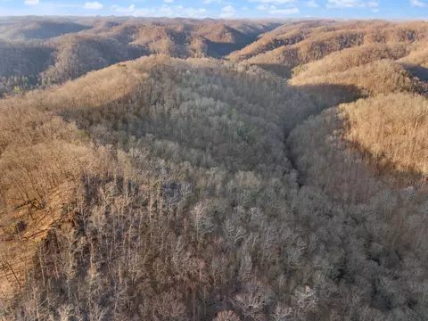 130 Benny Ln, Jackson, KY 41339 photo 60