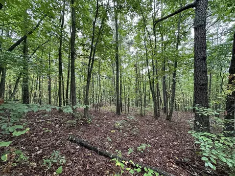 30 Clay Camp Rd, Hitchins, KY 41146 photo 15