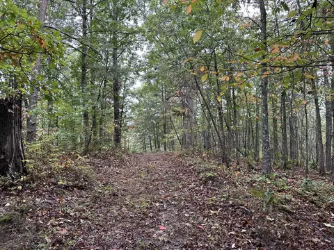 30 Clay Camp Rd, Hitchins, KY 41146 photo 13