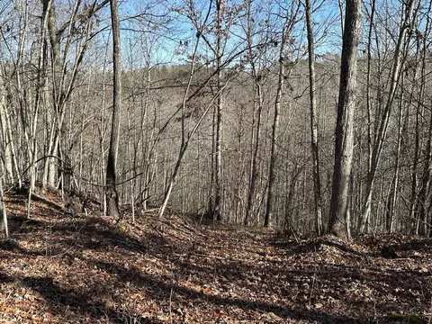 30 Clay Camp Rd, Hitchins, KY 41146 photo 20