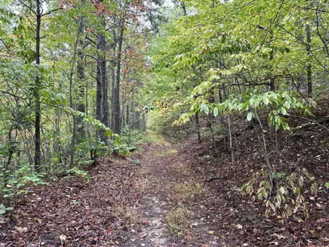 30 Clay Camp Rd, Hitchins, KY 41146 photo 10