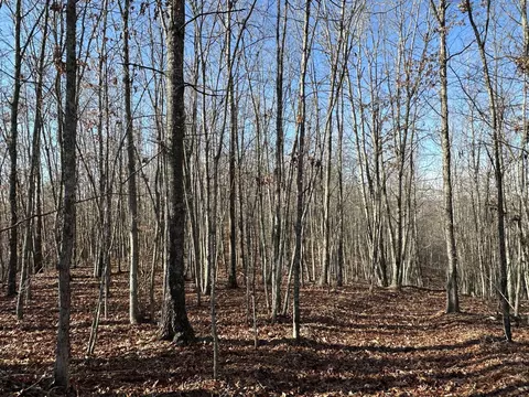 30 Clay Camp Rd, Hitchins, KY 41146 photo 7