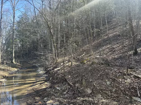 43 Acres Hominy Creek Rd, Burkesville, KY 42717