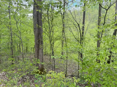 9999 Wind Cave Rd, Mckee, KY 40447 photo 17