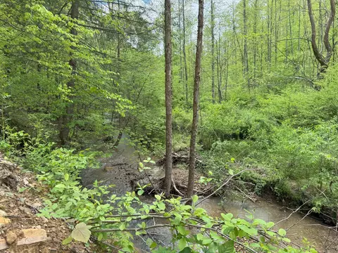9999 Wind Cave Rd, Mckee, KY 40447 photo 11