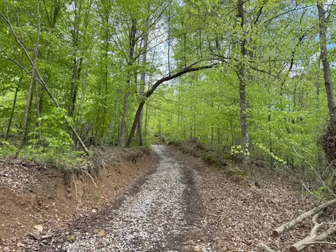 9999 Wind Cave Rd, Mckee, KY 40447 photo 12