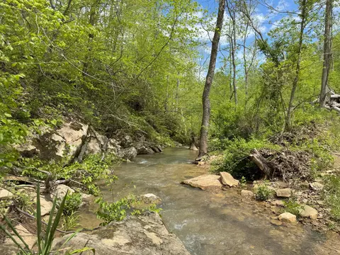 9999 Wind Cave Rd, Mckee, KY 40447 photo 6