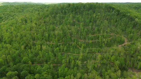 9999 Wind Cave Rd, Mckee, KY 40447 photo 19