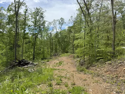 9999 Wind Cave Rd, Mckee, KY 40447 photo 2