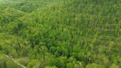 9999 Wind Cave Rd, Mckee, KY 40447 photo 20